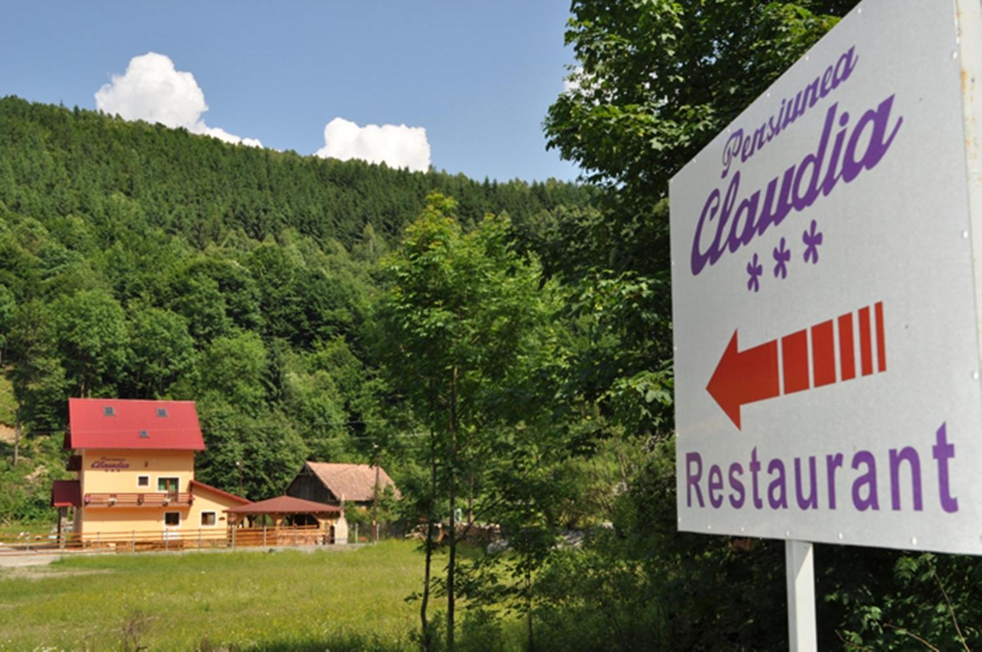 Pensiunea Claudia Scrind-Frăsinet Exteriér fotografie